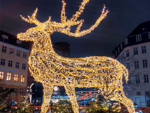 Kongens Nytorv Market