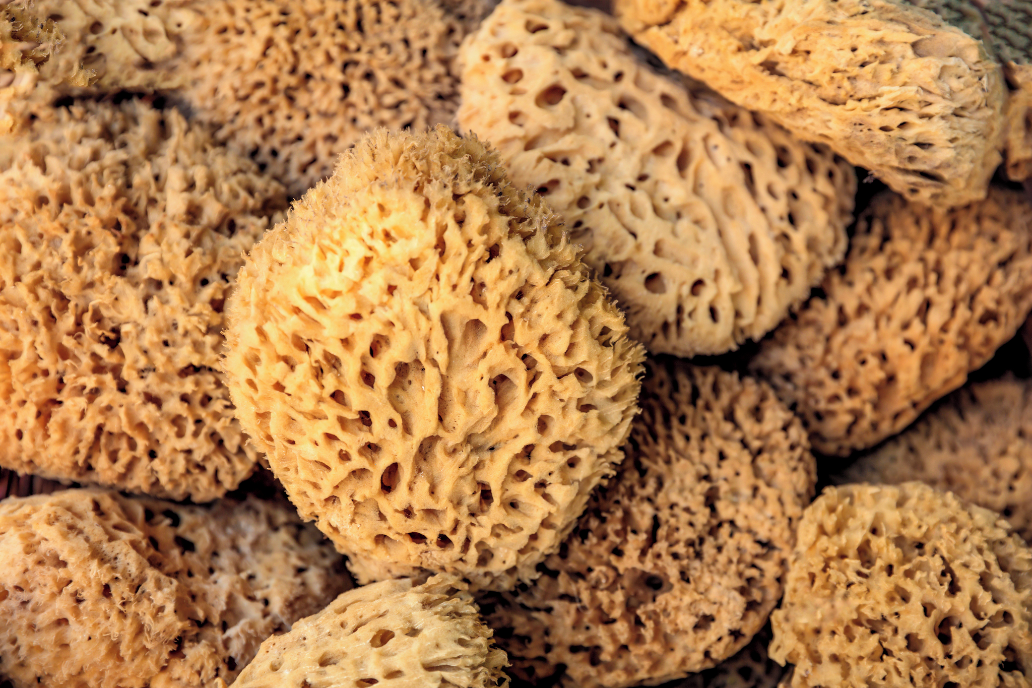 Kalymnos Sponge Factory