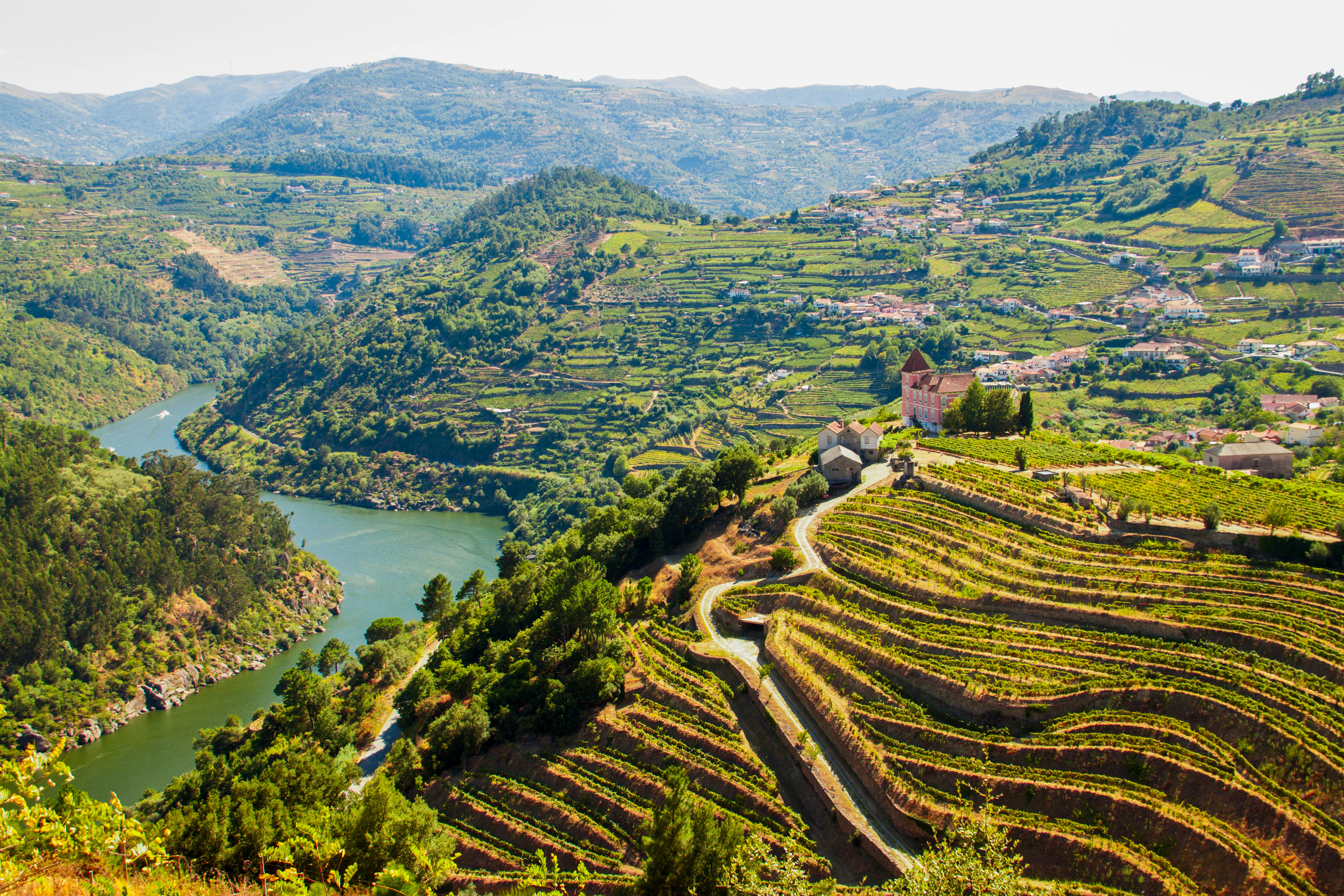 Visit the Douro Valley