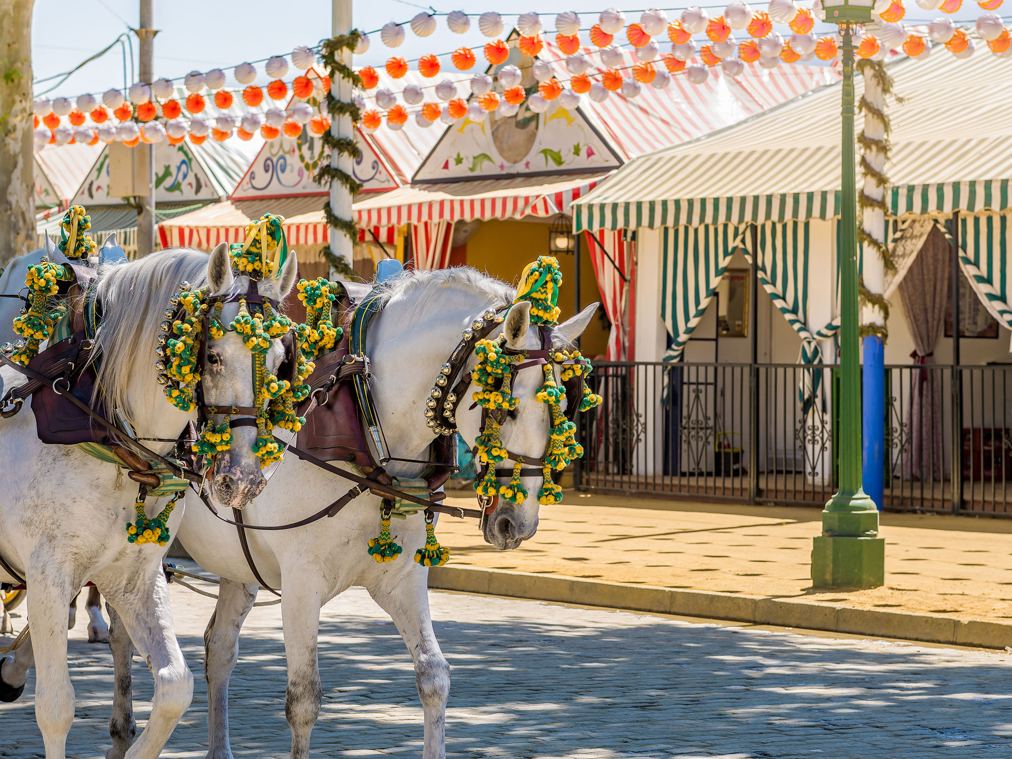 Unmissable events and festivals