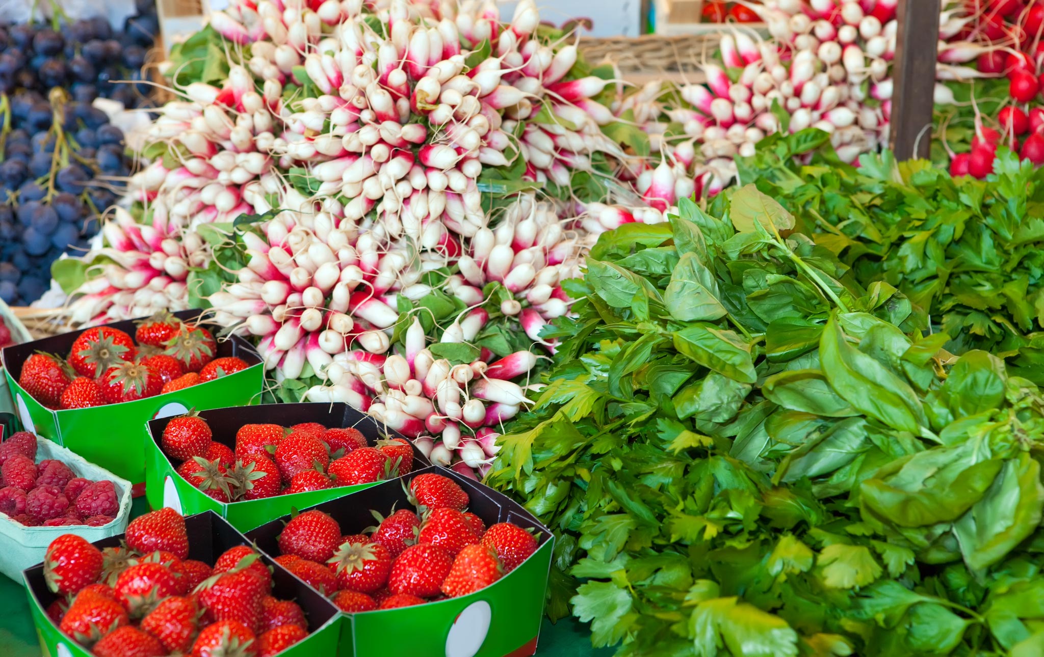 Kollwitzplatz food market