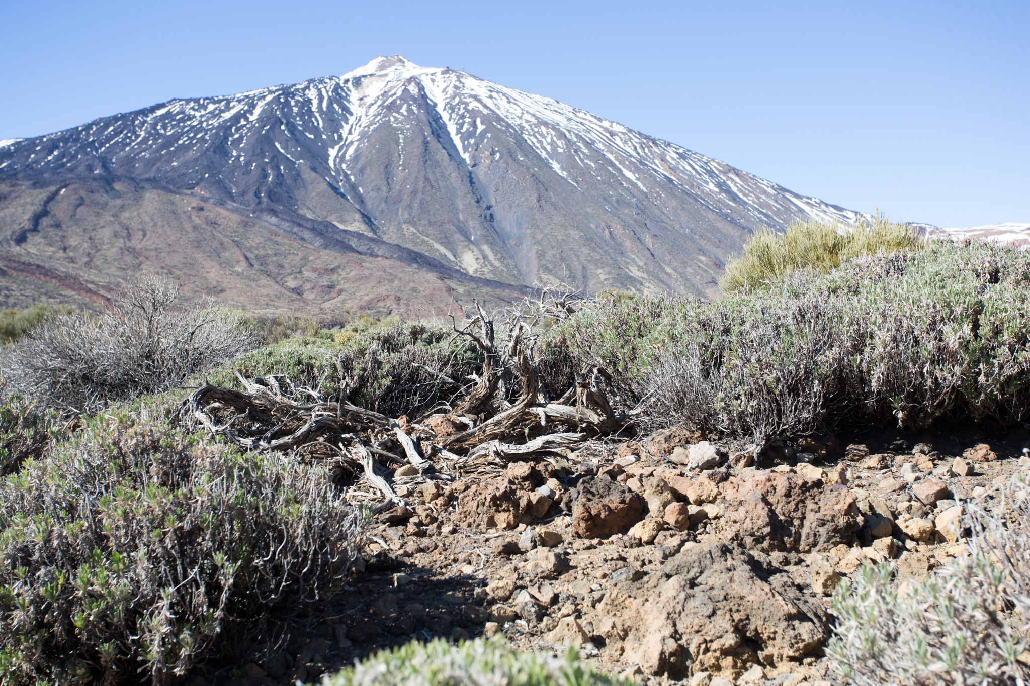 Volcan el Teide