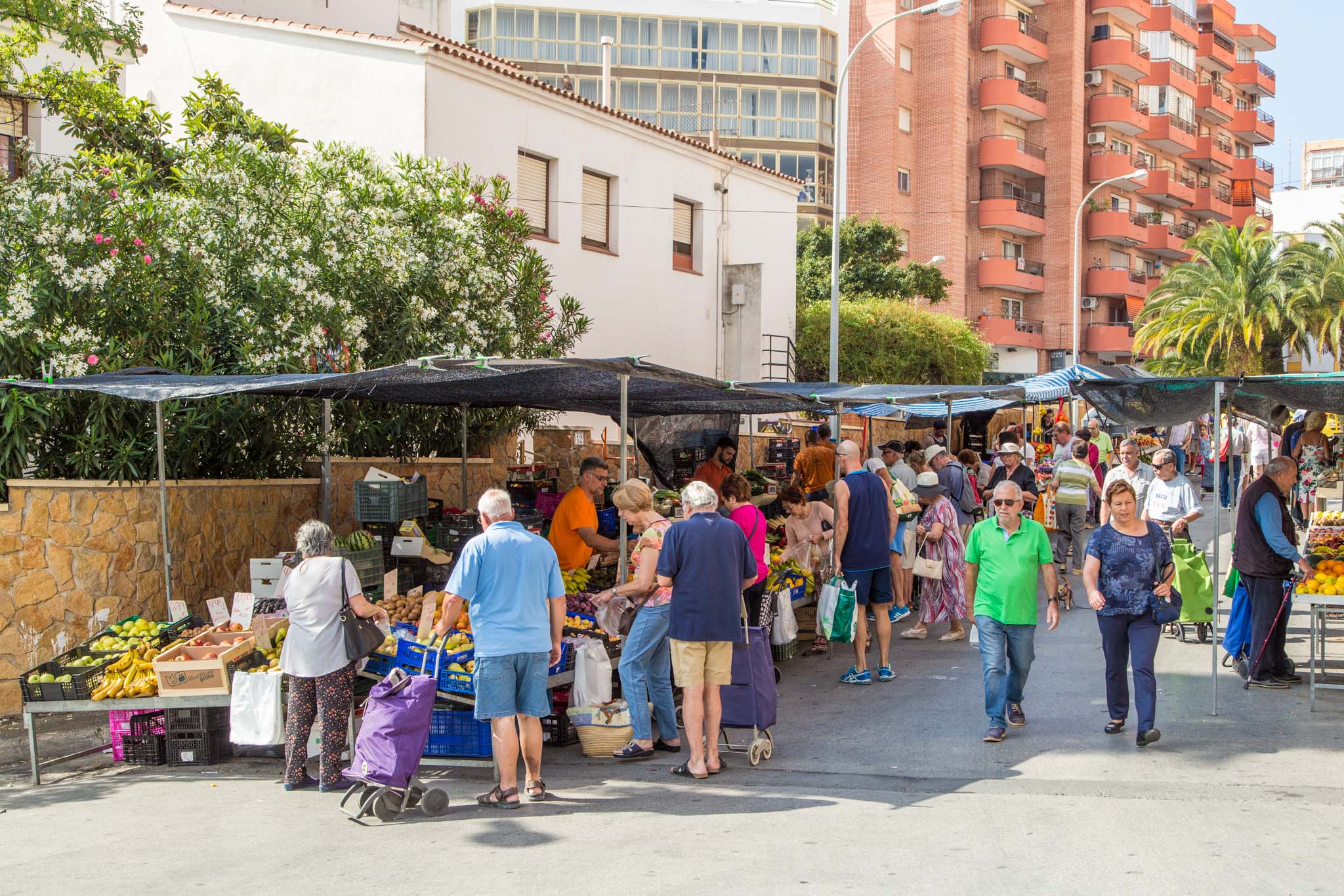 Calpe Market 