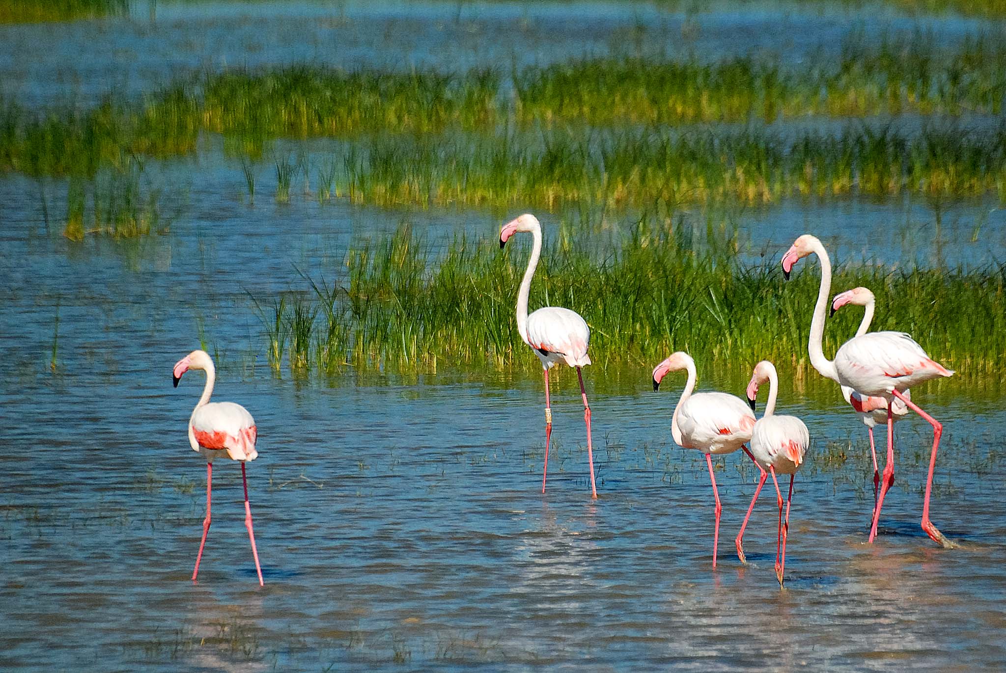 Costa Vicentina Natural Park