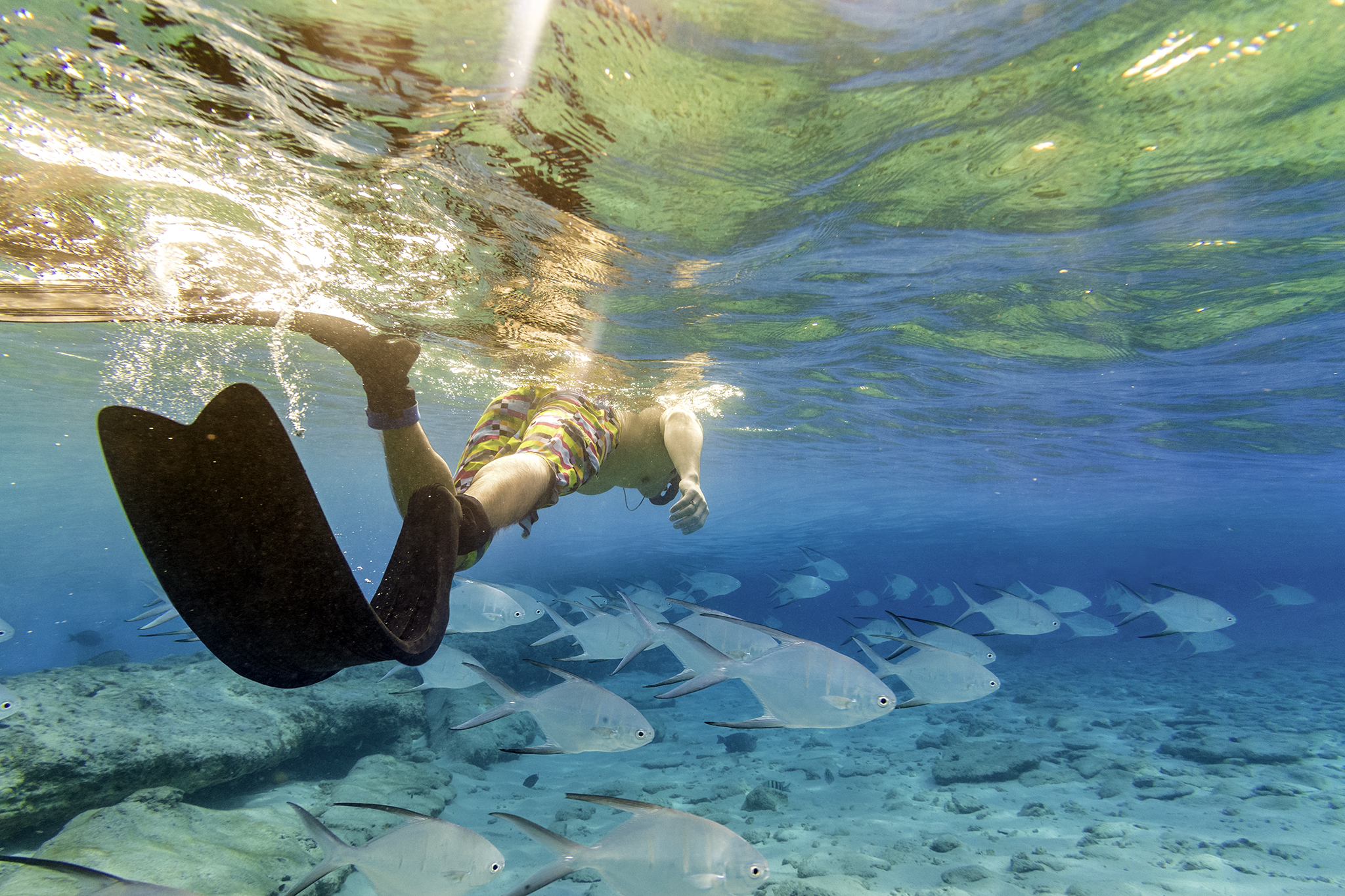 Scuba diving and snorkelling 