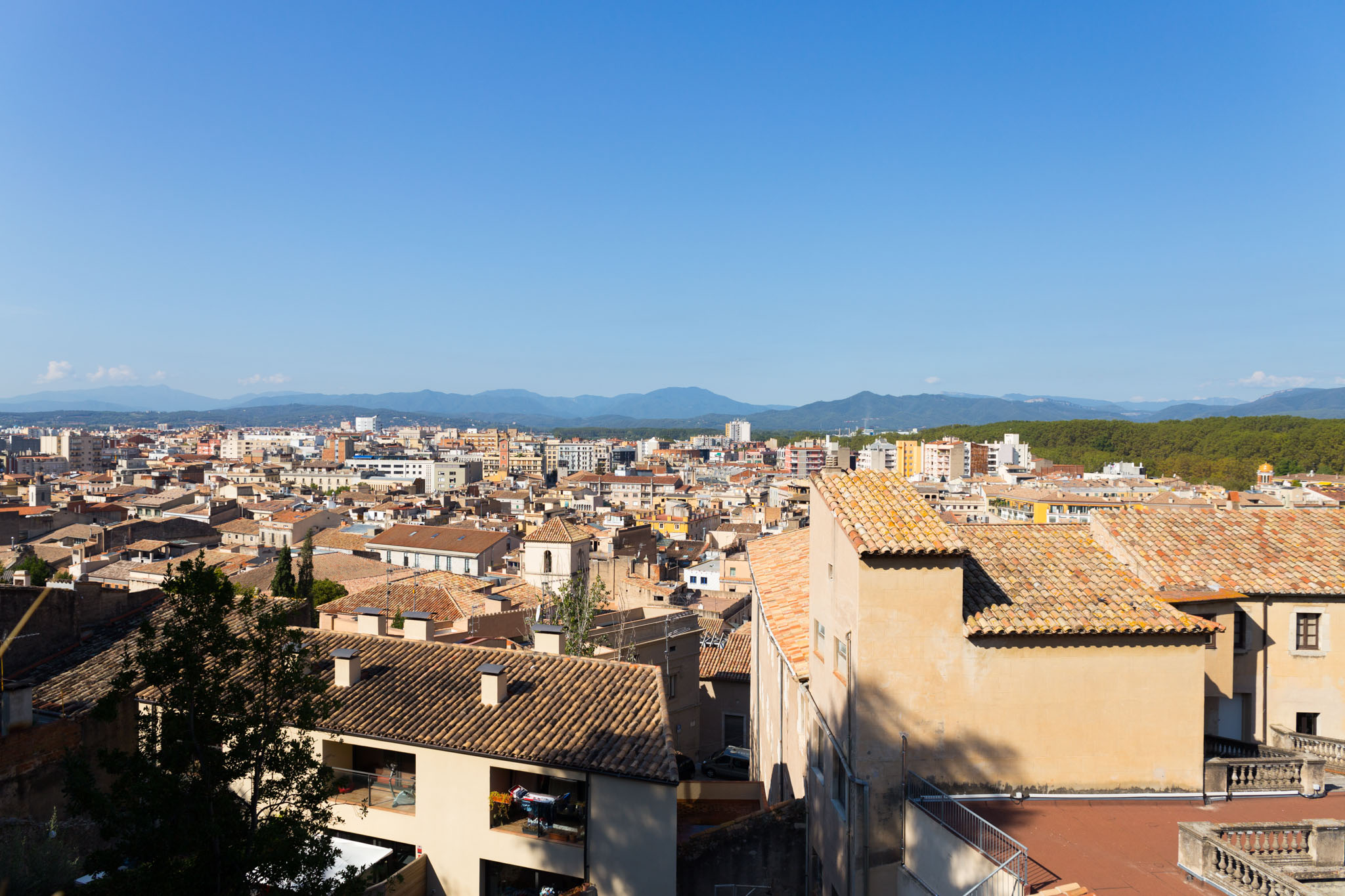 The University and Sant Domènec 