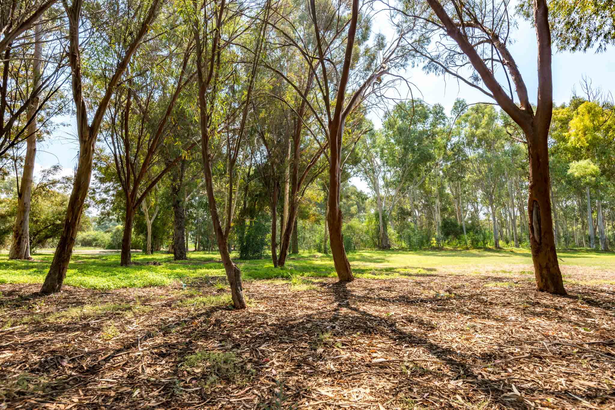 Athalassa National Park