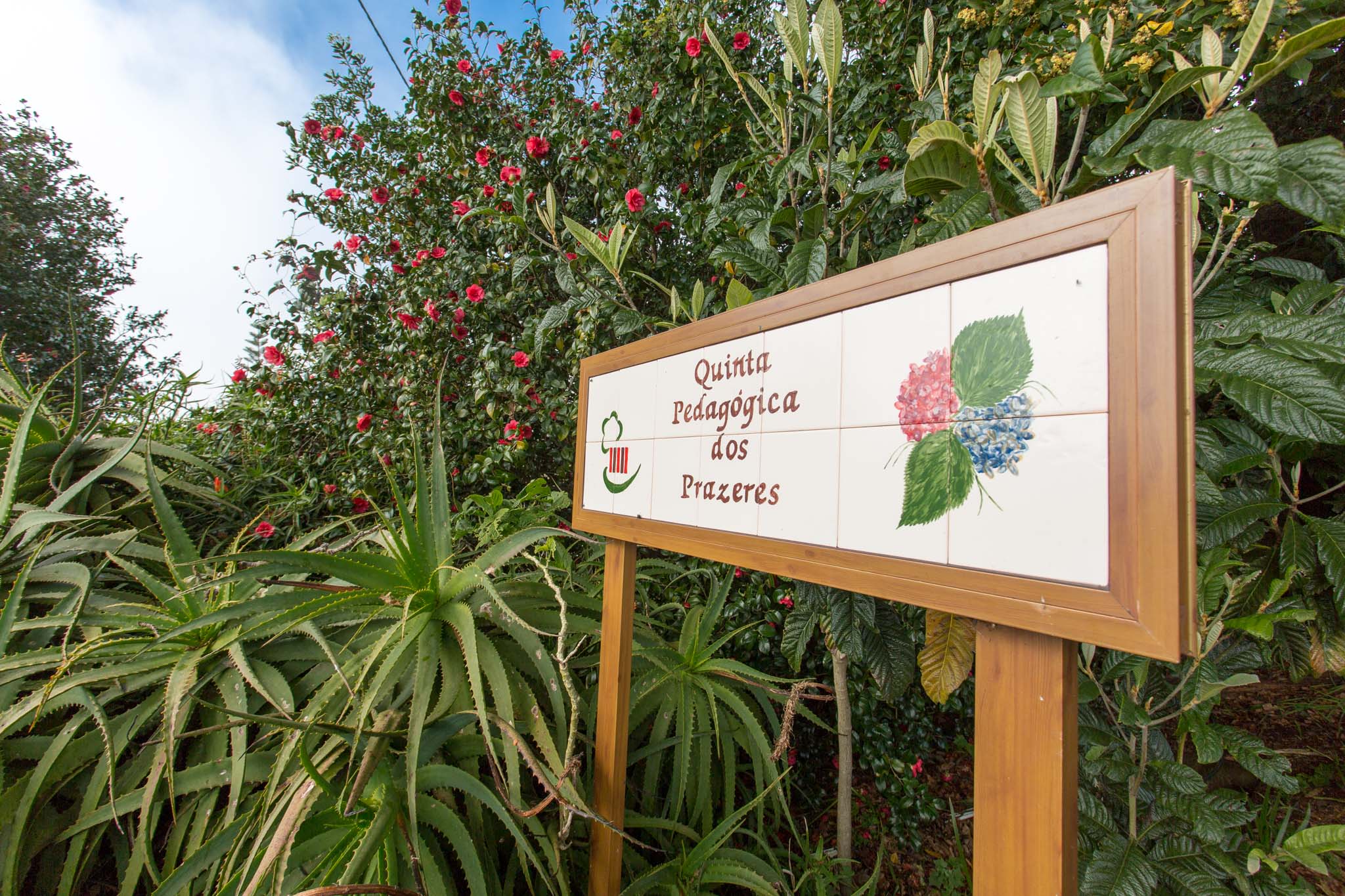 Quinta Pedagogica dos Prazeres