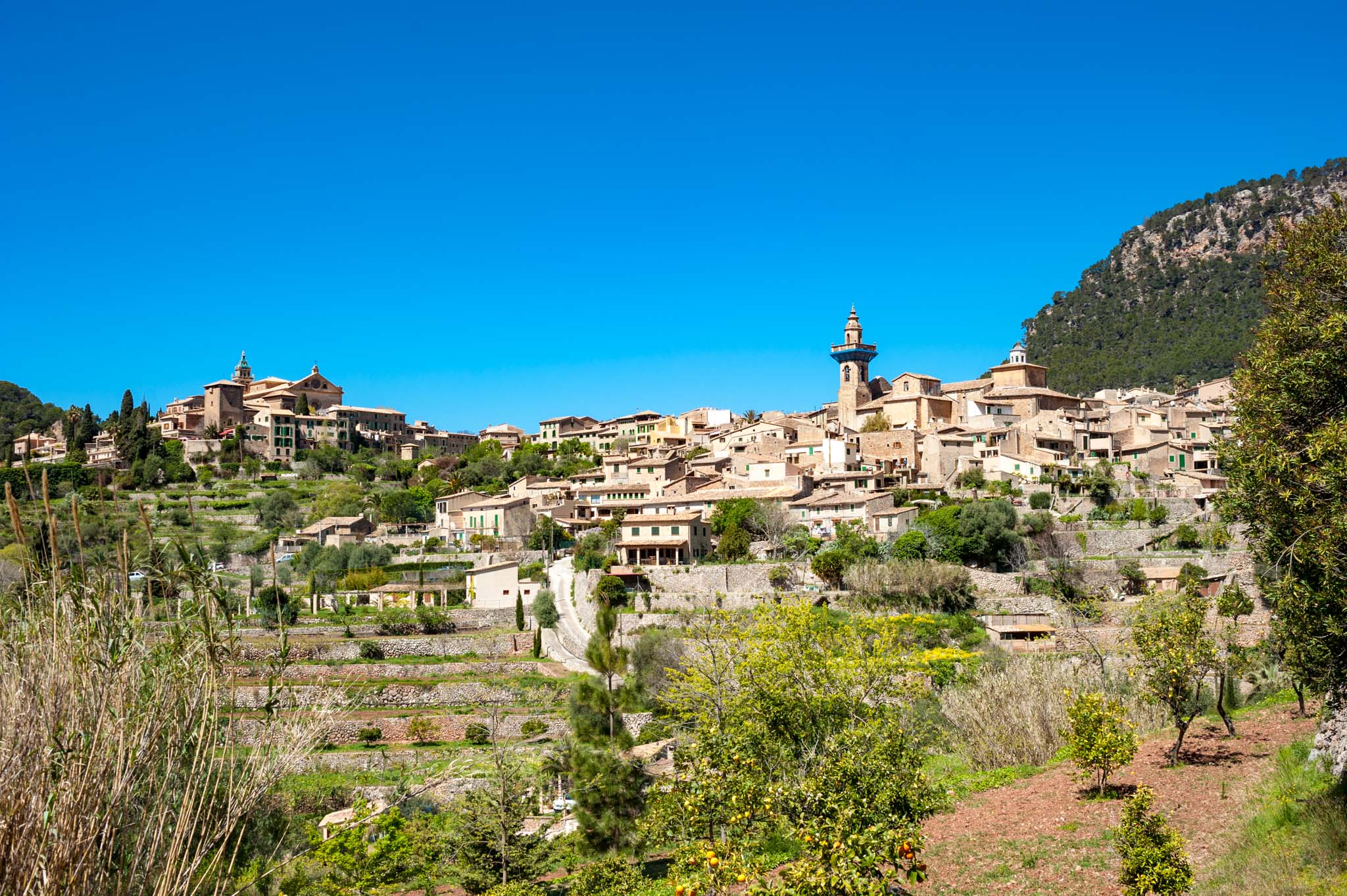 Valldemossa