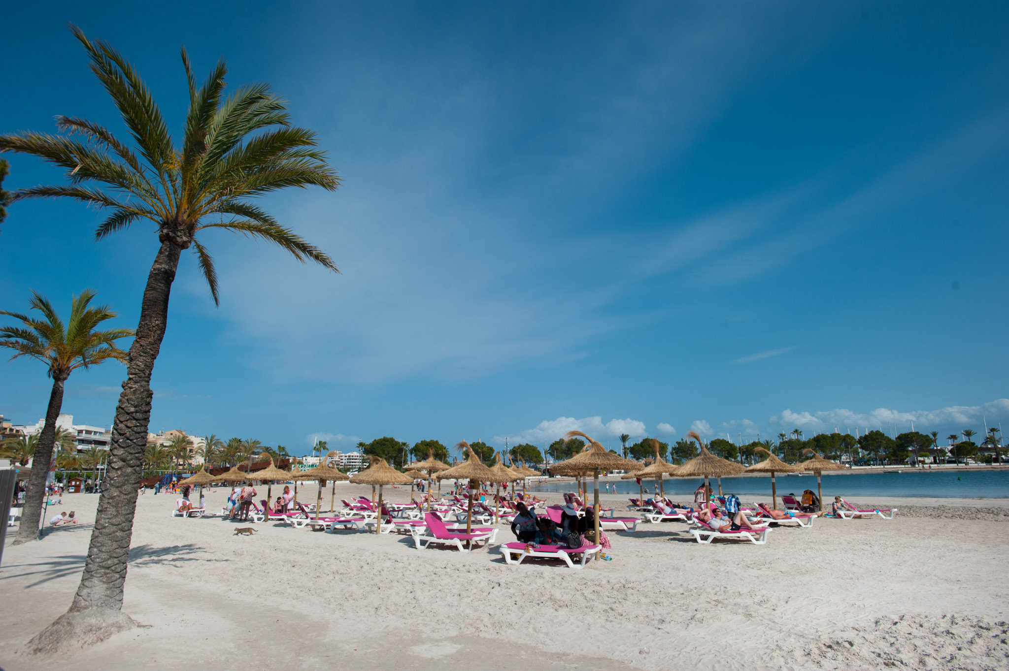 Playa de Alcudia 