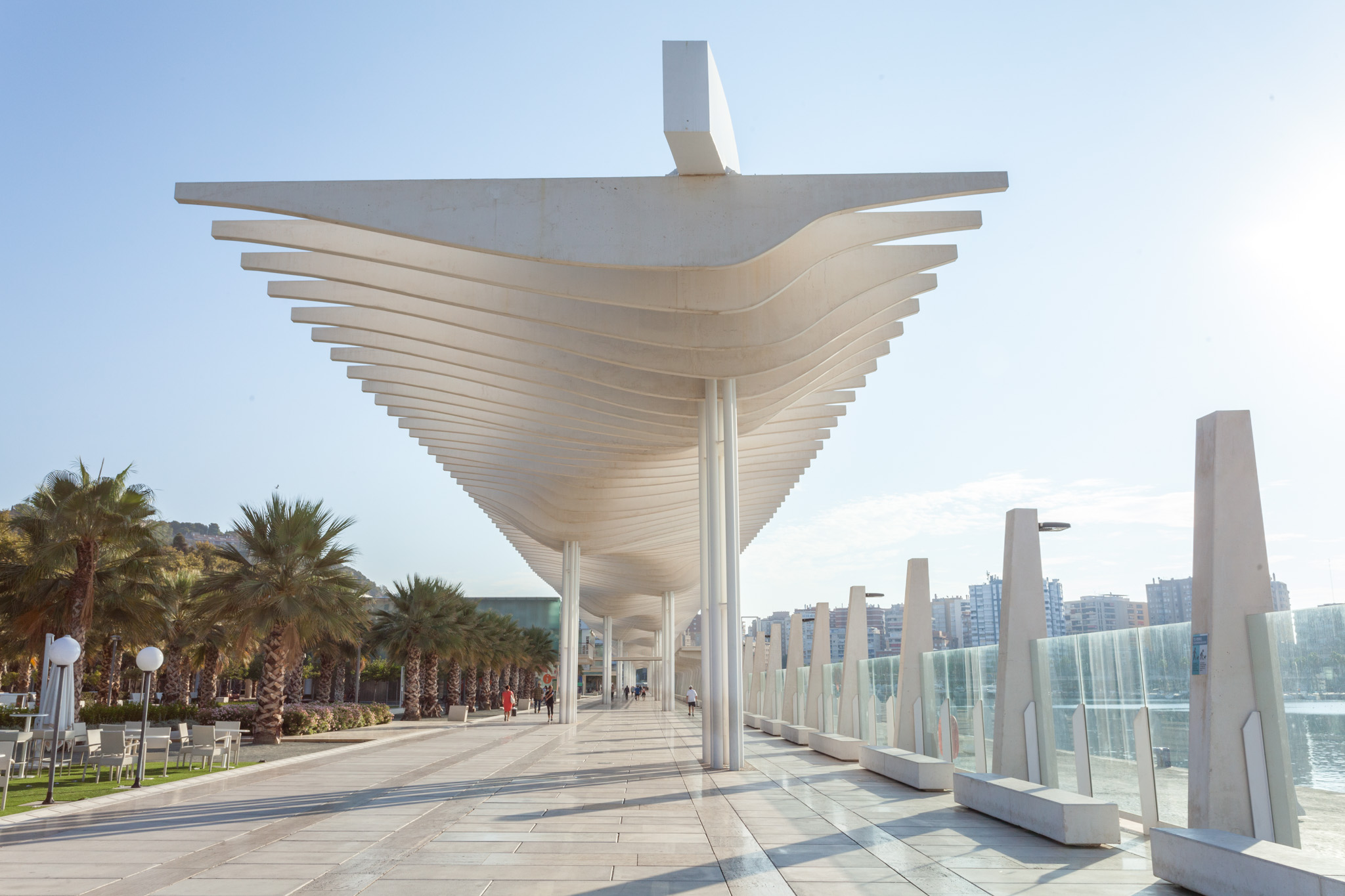 Palmeral de las Sorpresas