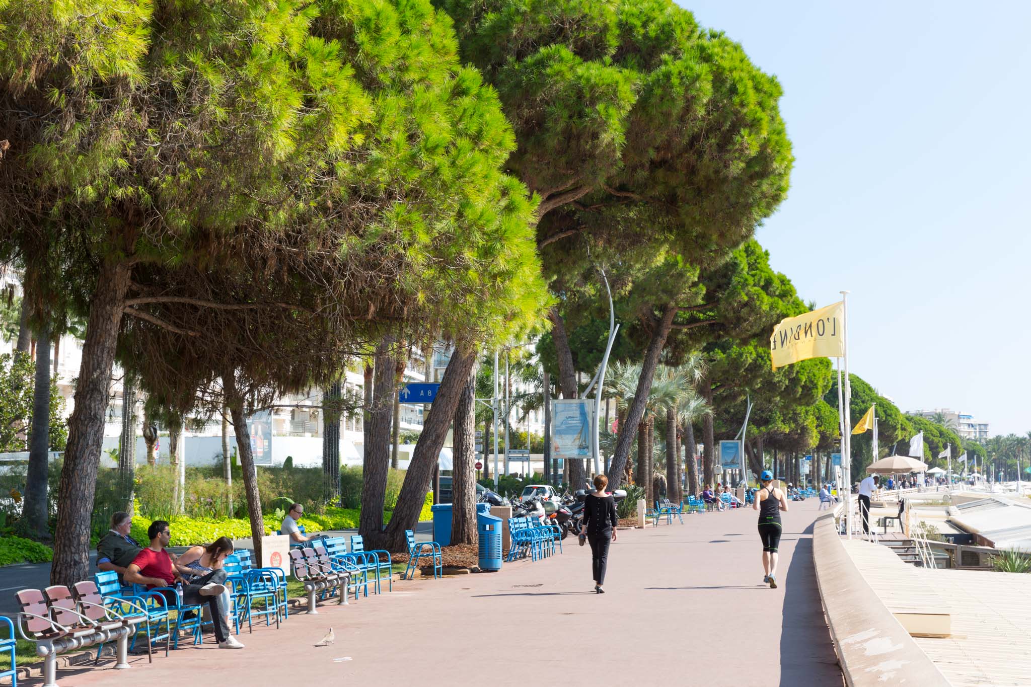 Promenade de la Croisette