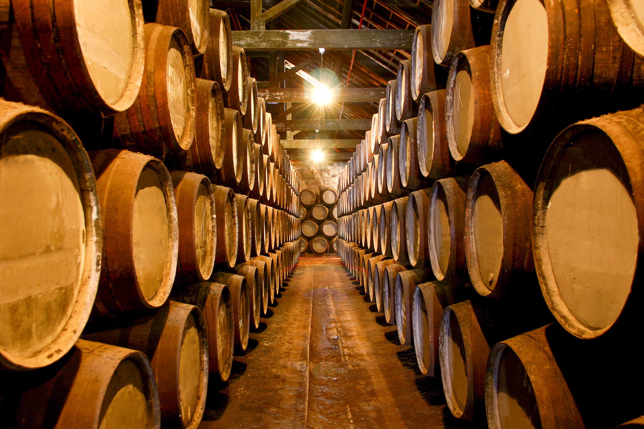Taylor’s Port Wine Cellar