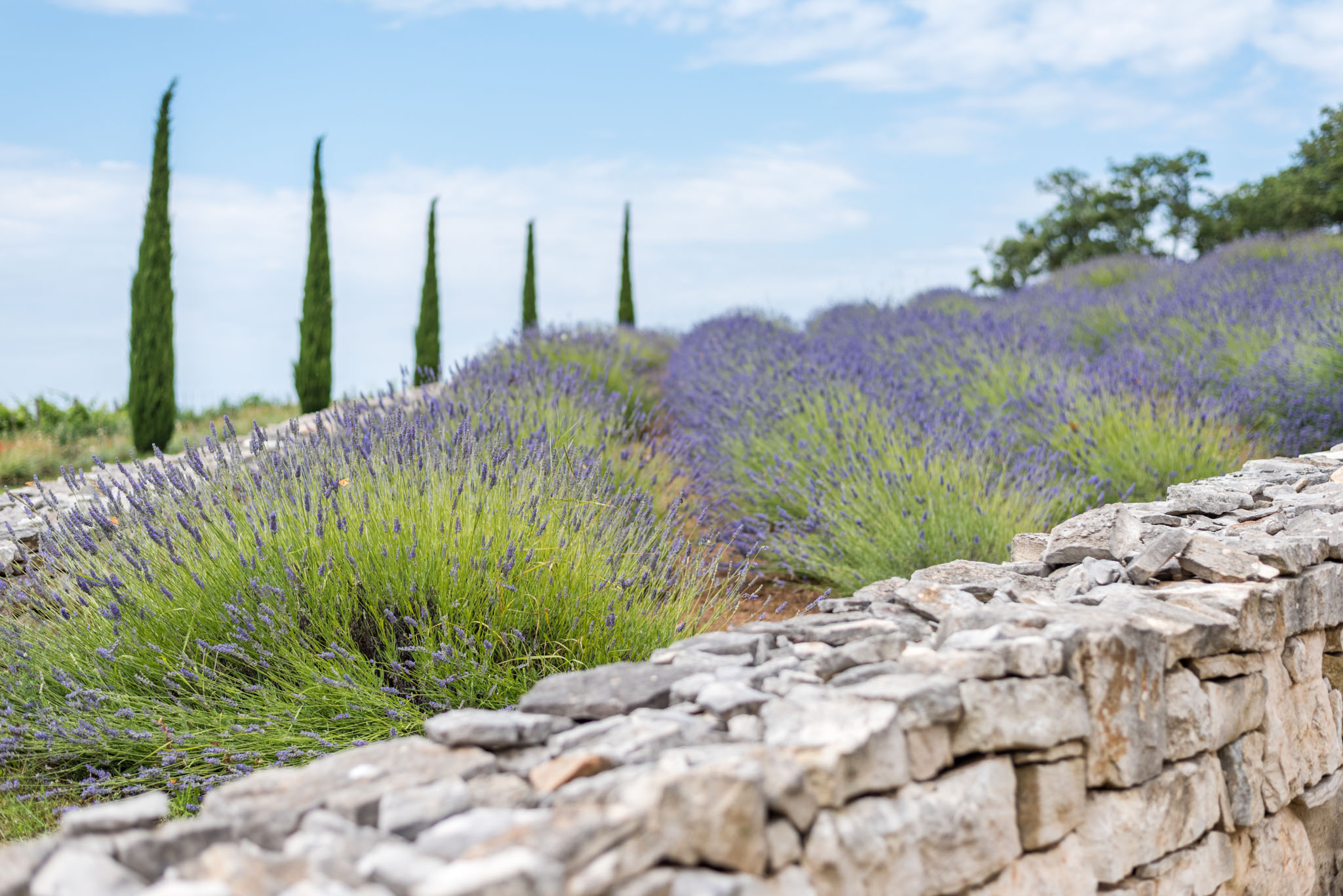 Histria Aromatica Park