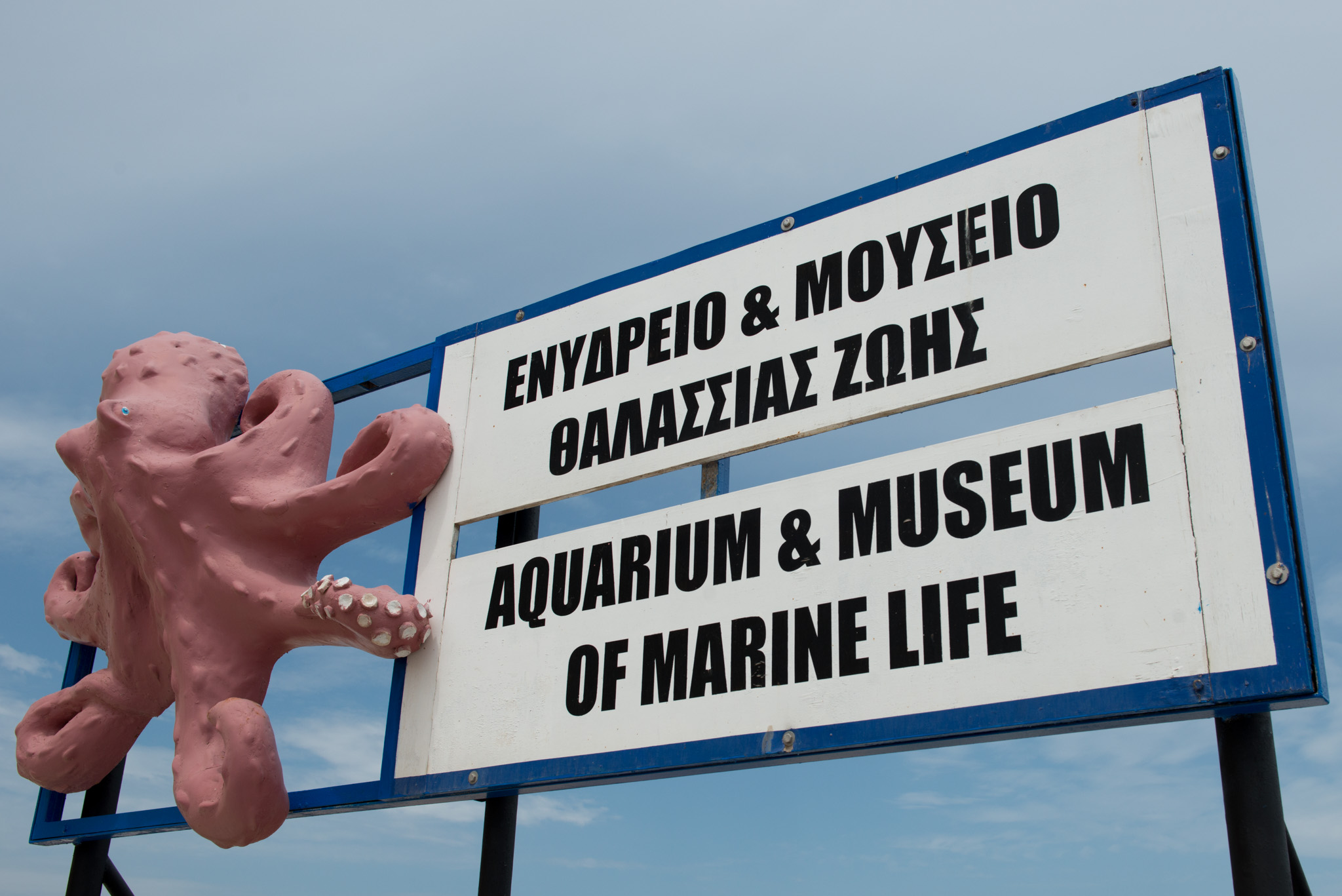 Marine Aquarium 