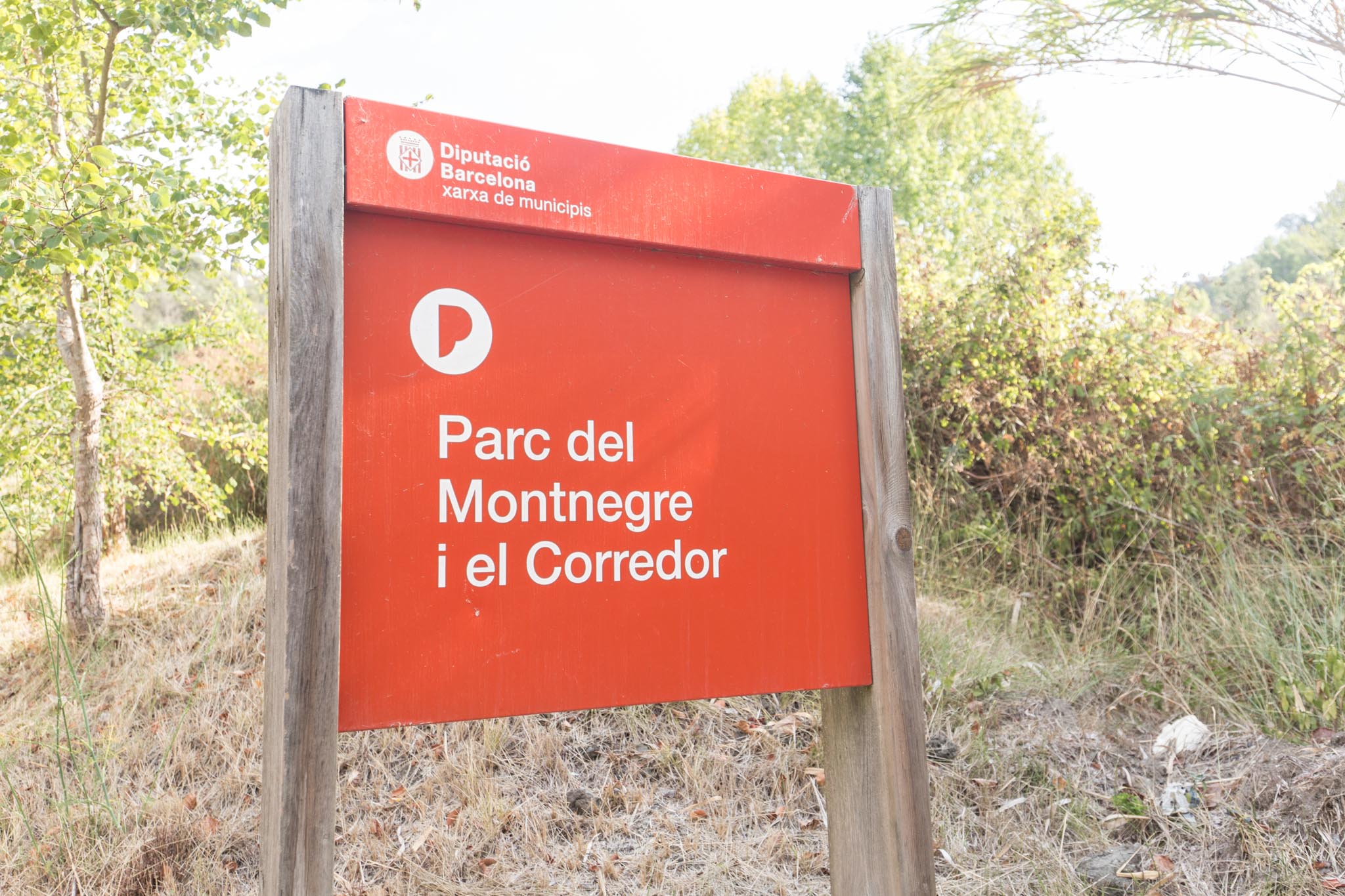 Montnegre National Park