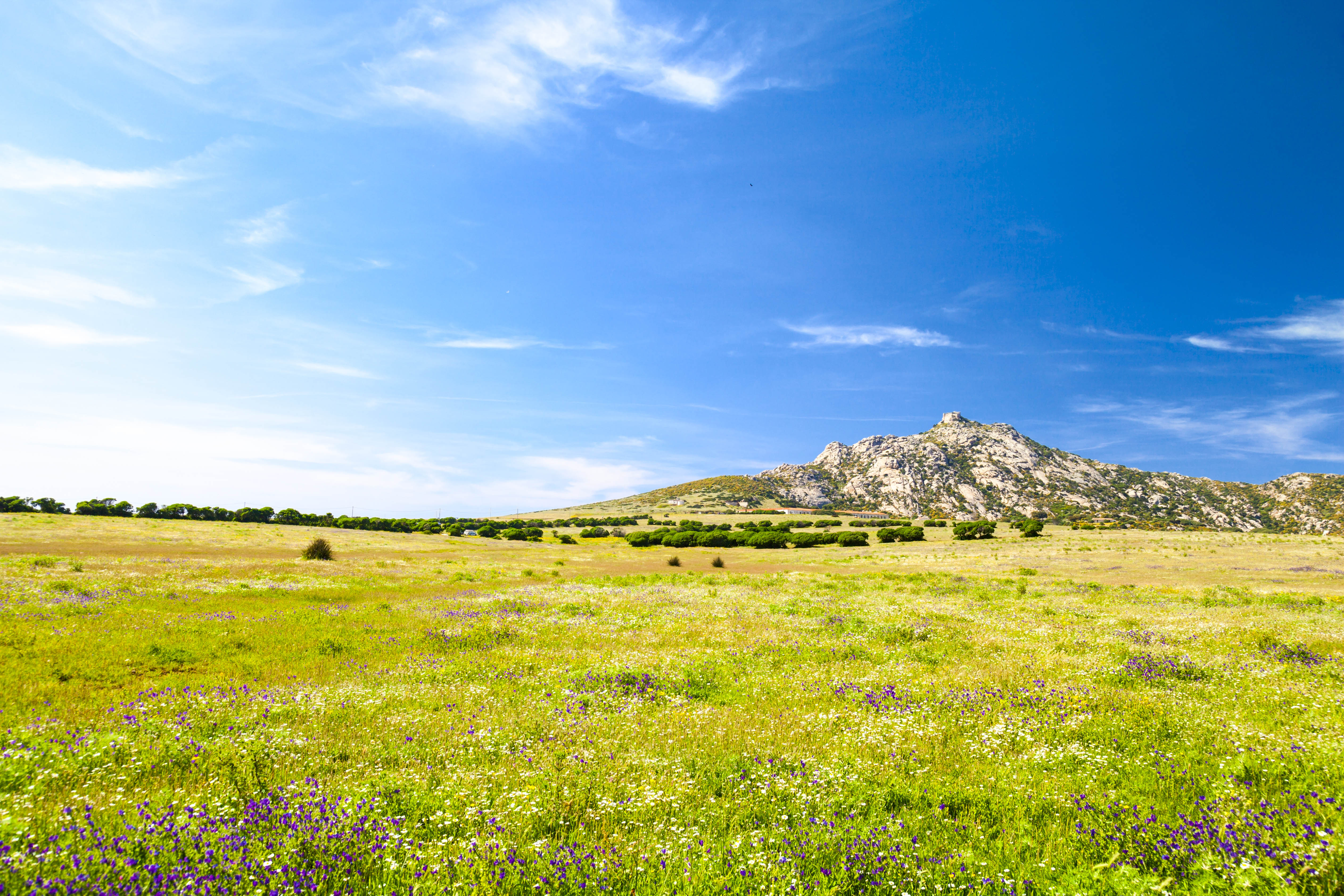 Asinara National Park