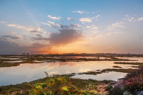 El Paraje Natural de las Marismas del Odiel