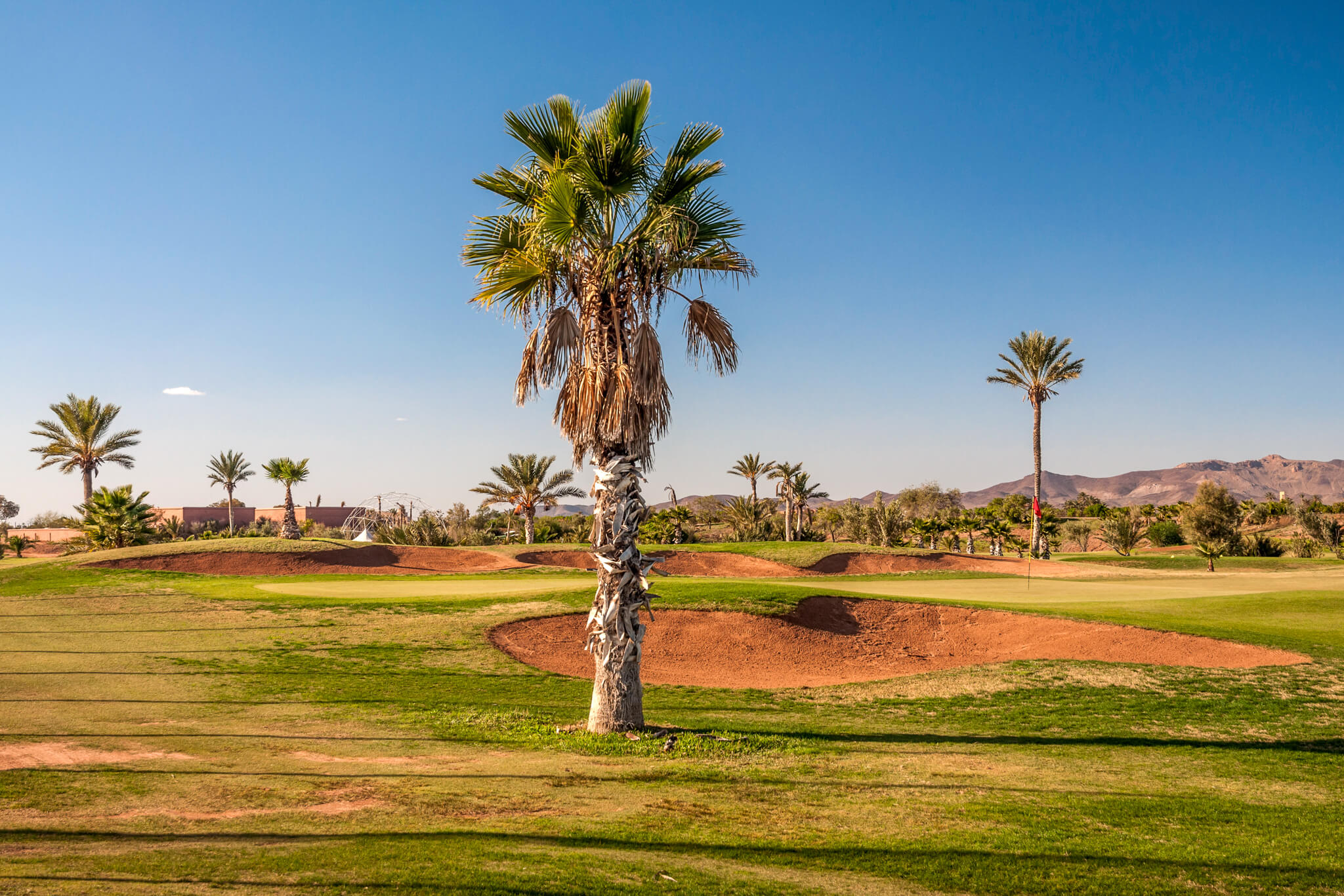 Golf Club Rotana Palmeraie