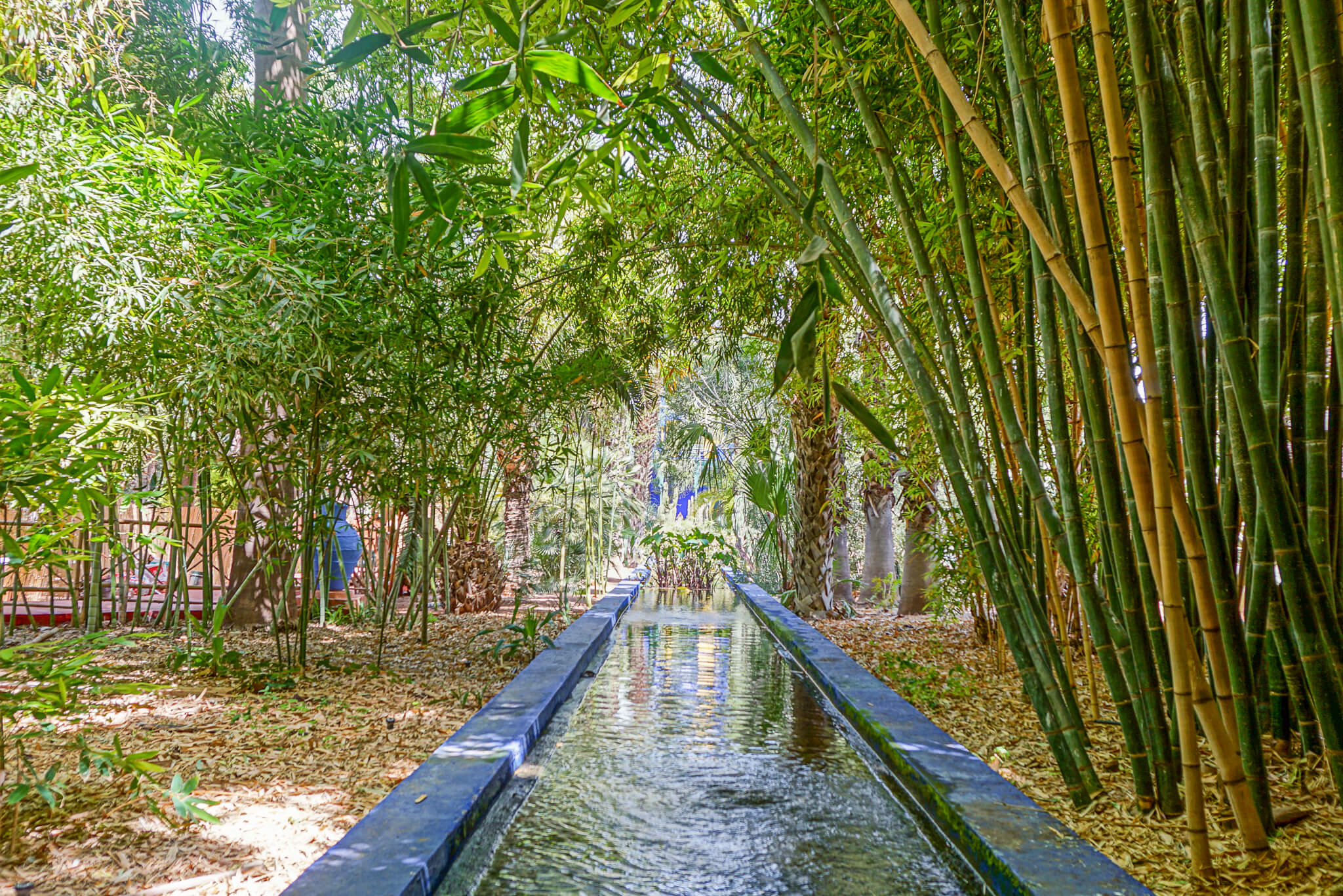 Jardin Majorelle
