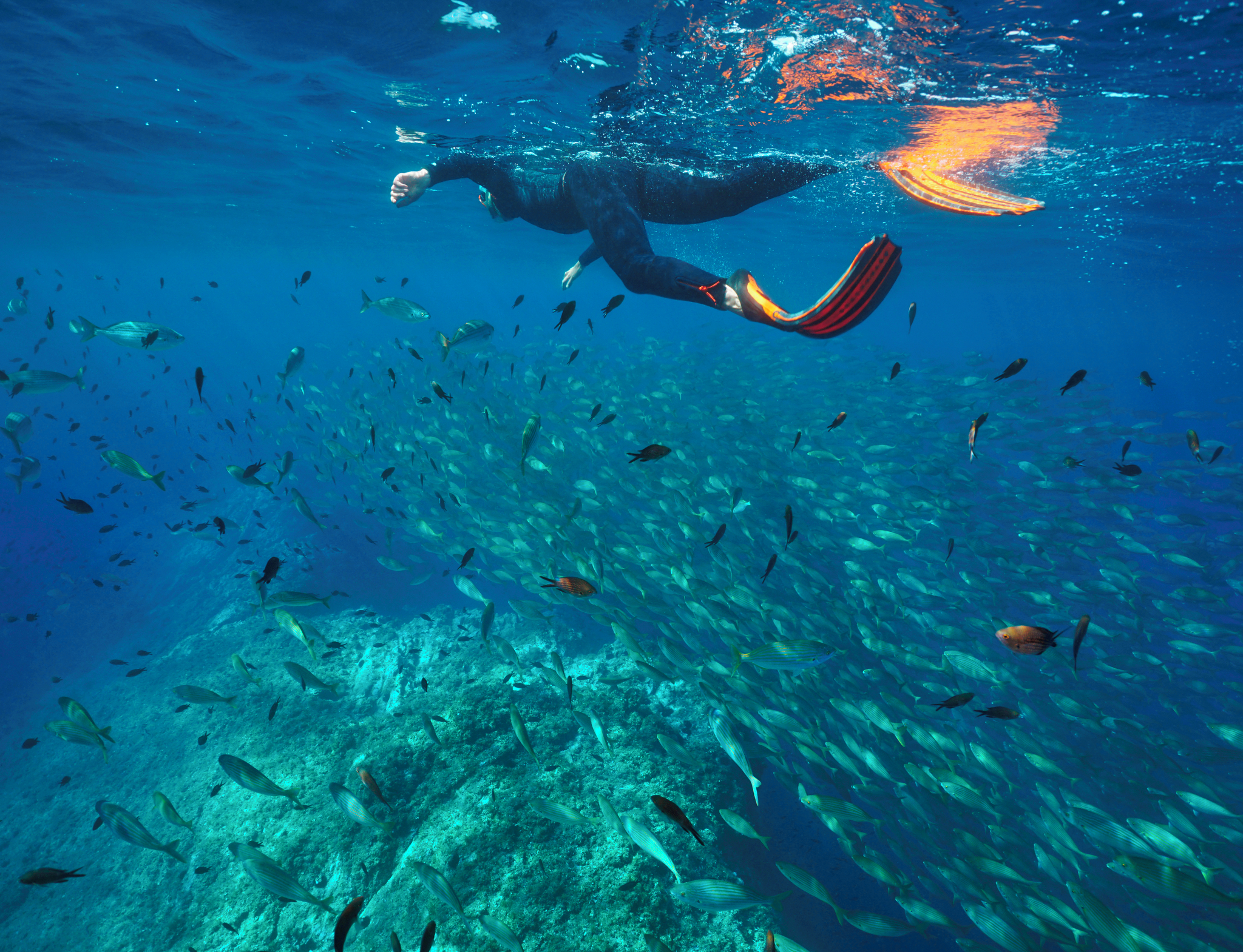 Scuba diving and snorkelling