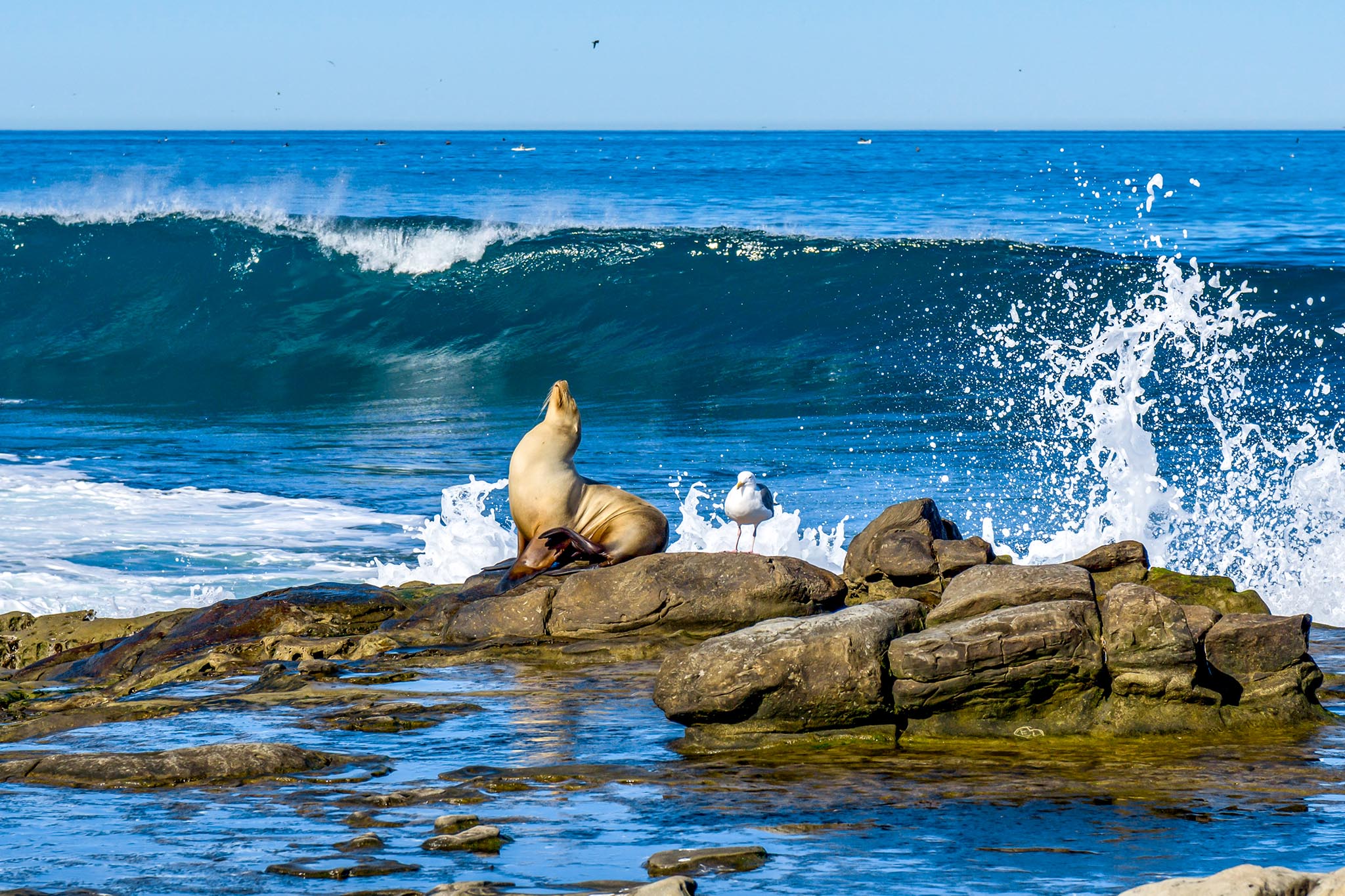 Alonissos National Marine Park