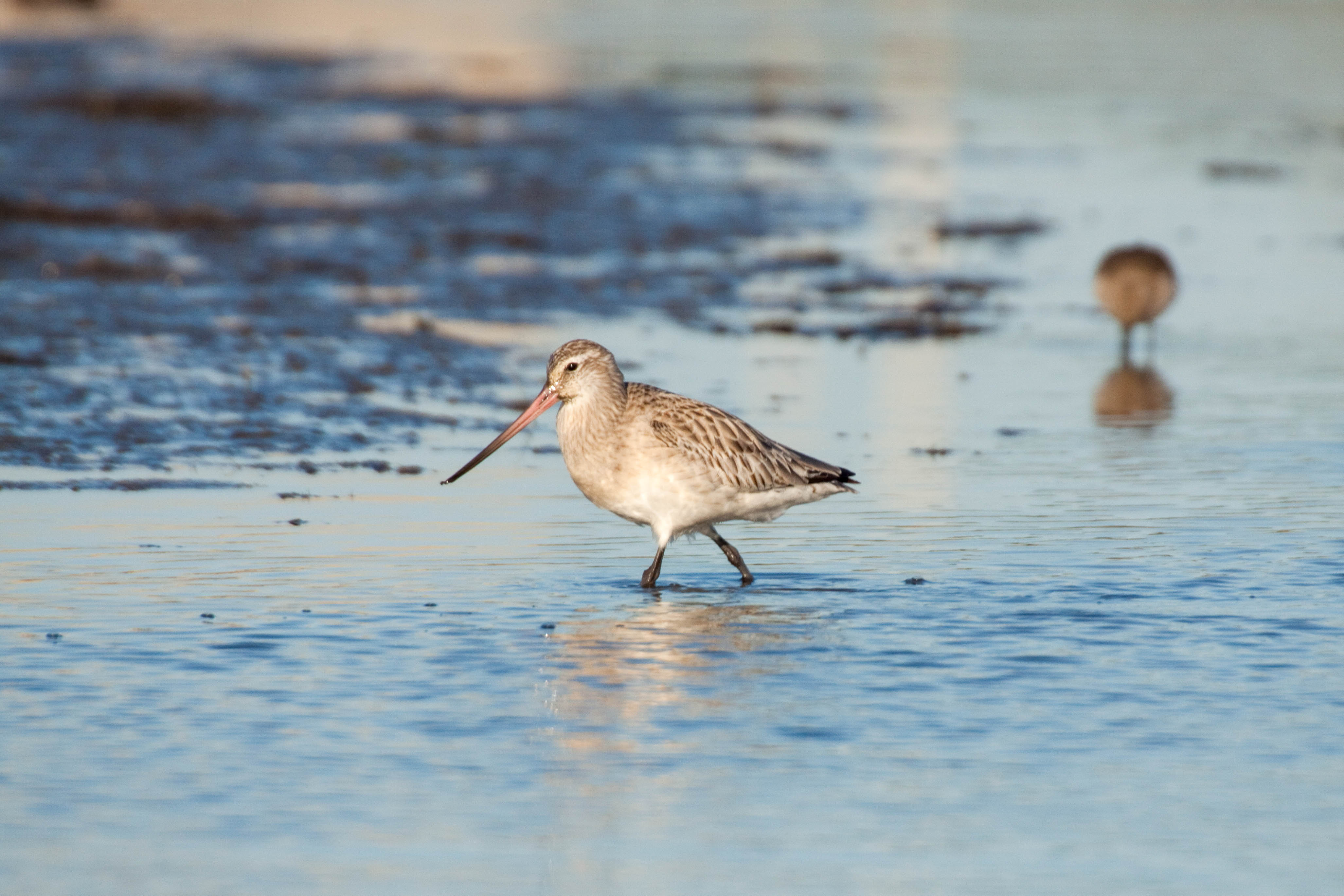 Explore The Northern Litoral Natural Park
