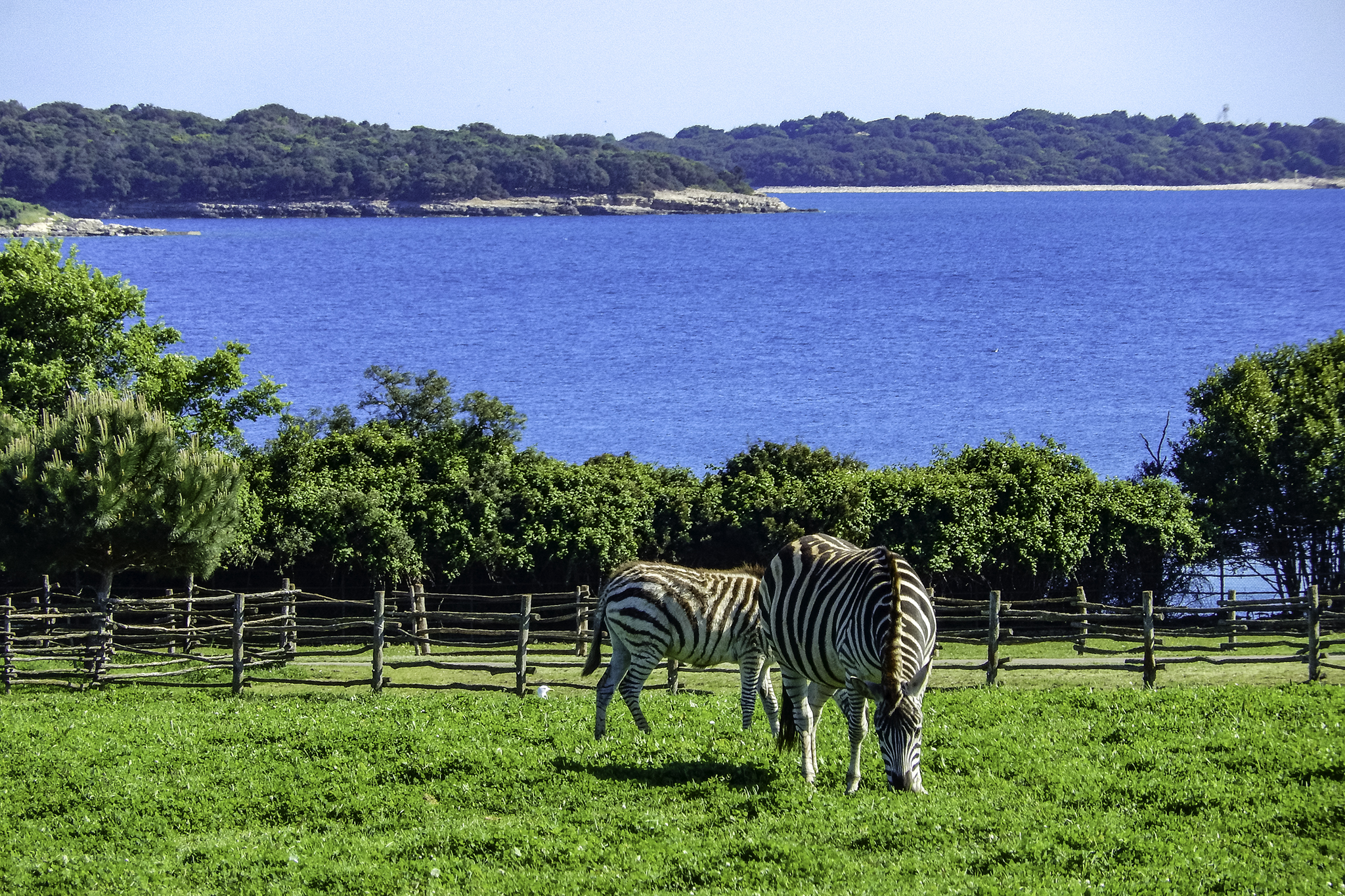 Veliki Brijun Island