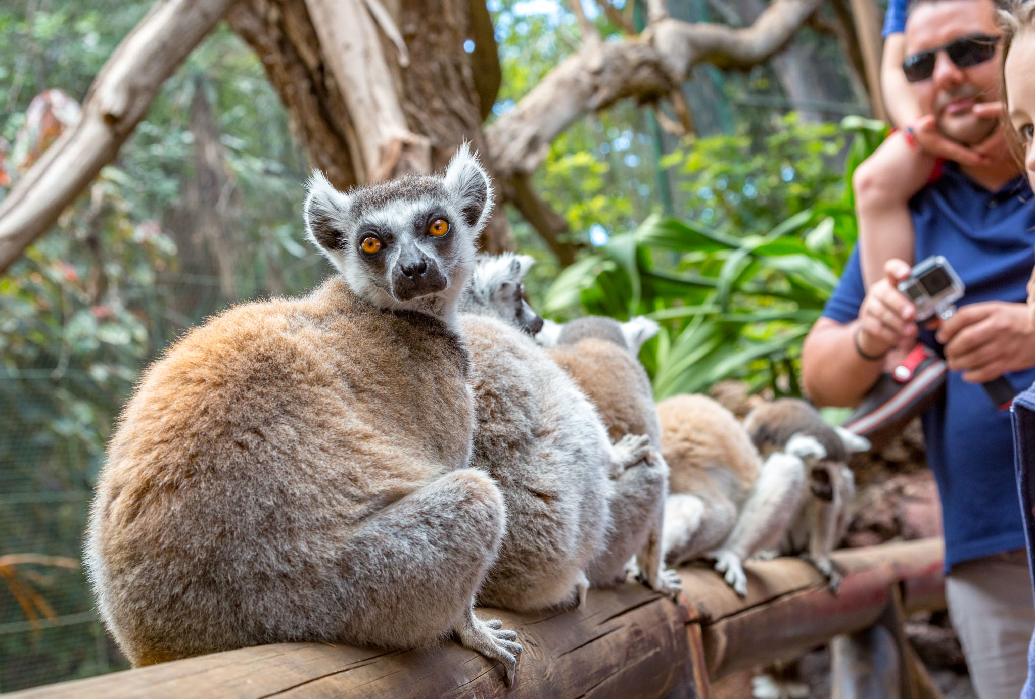 Oasis Wildlife Fuerteventura