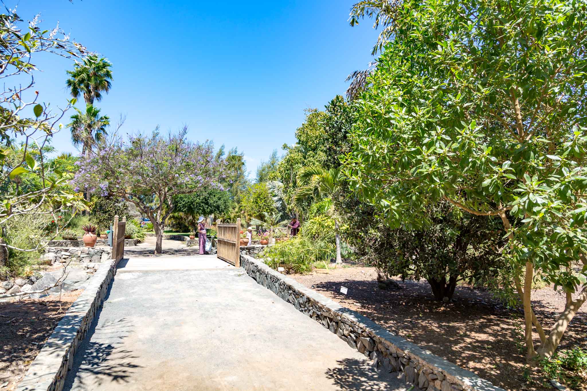 Botanical Gardens of Maspalomas