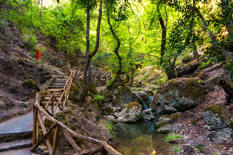 Petaloudes Valley (The Valley of Butterflies) 