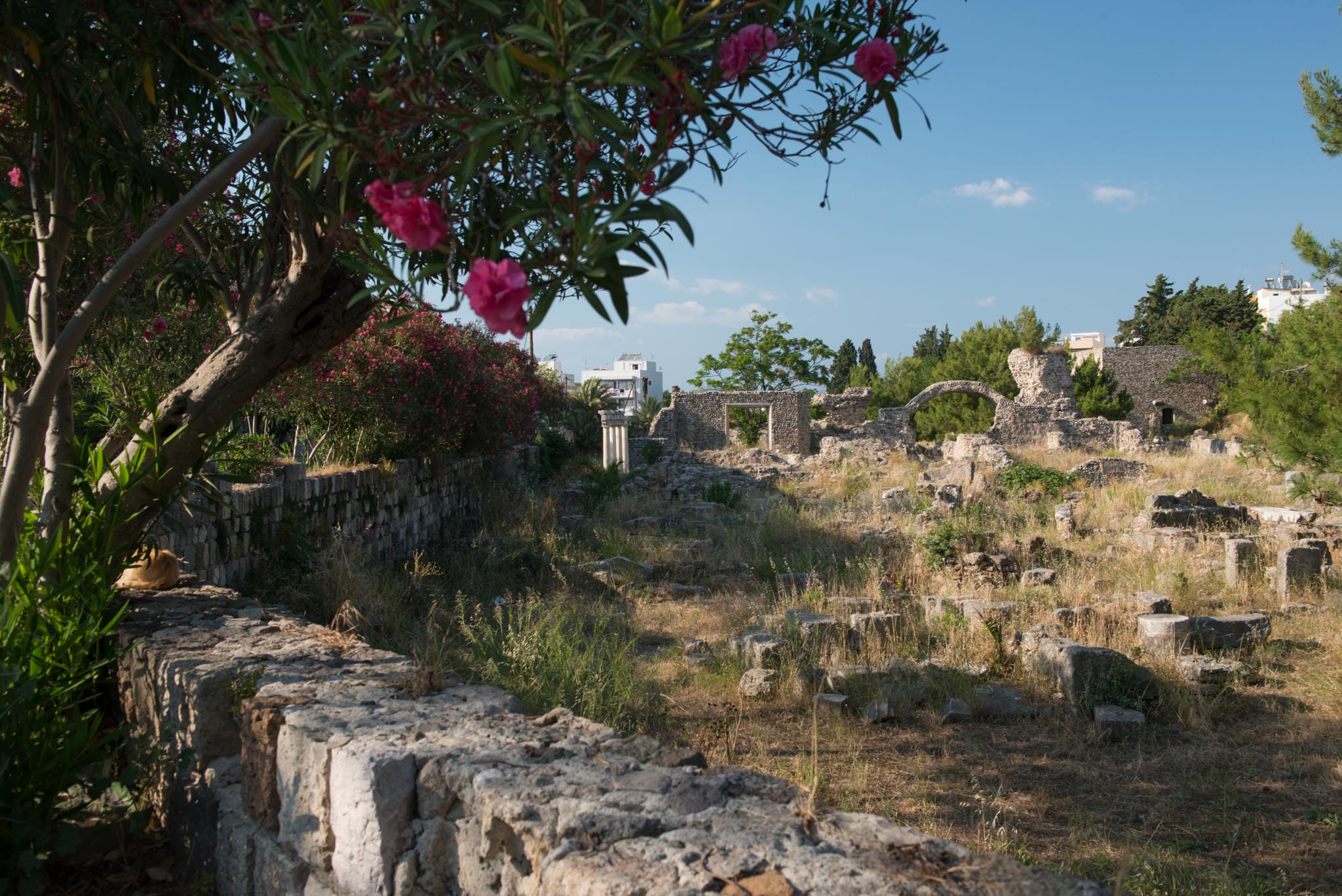 Western Archaeological Zone