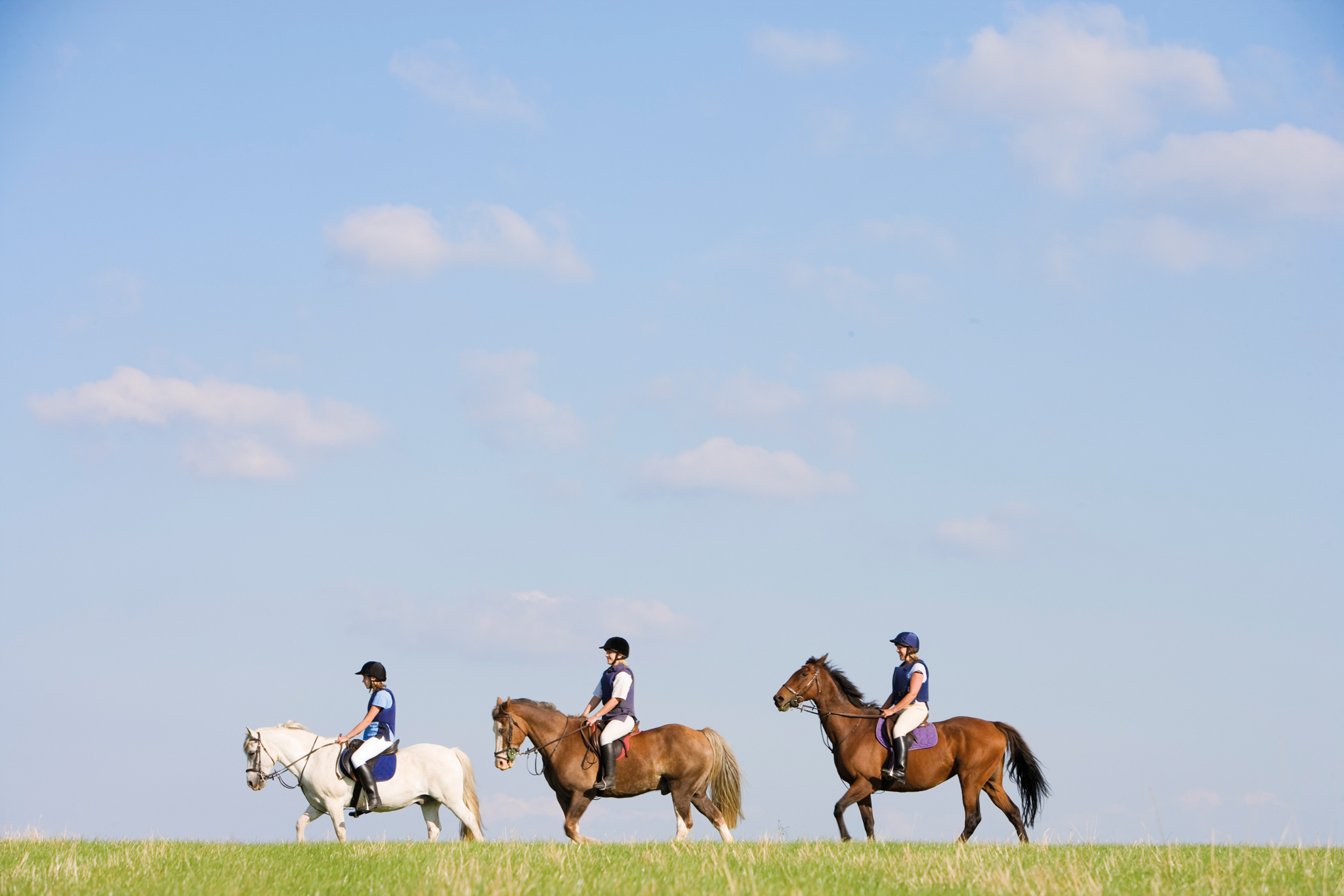Pine Trees Riding Centre 