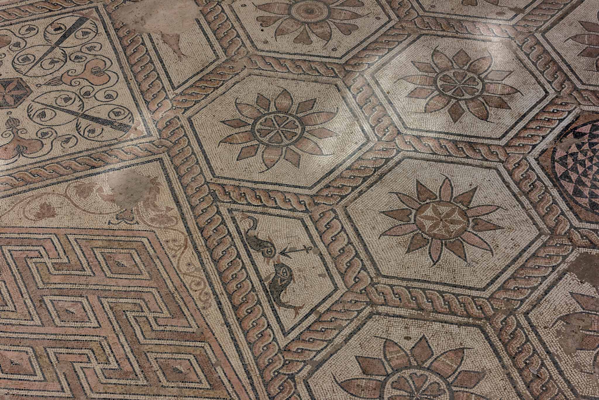 Roman Floor Mosaic