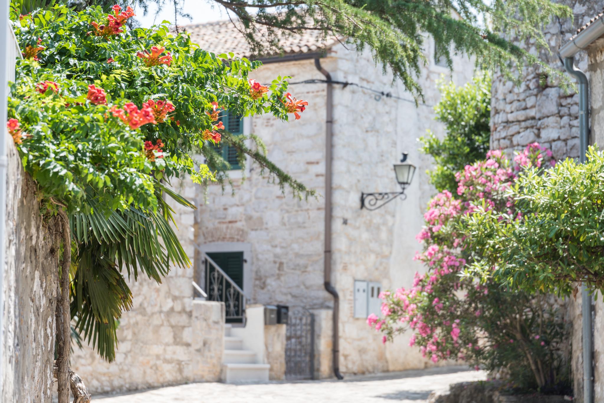 Vrsar Old Town and Promenade 