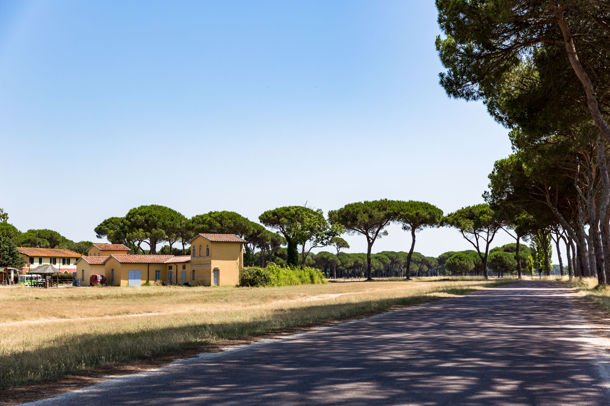 Parco naturale Migliarino San Rossore