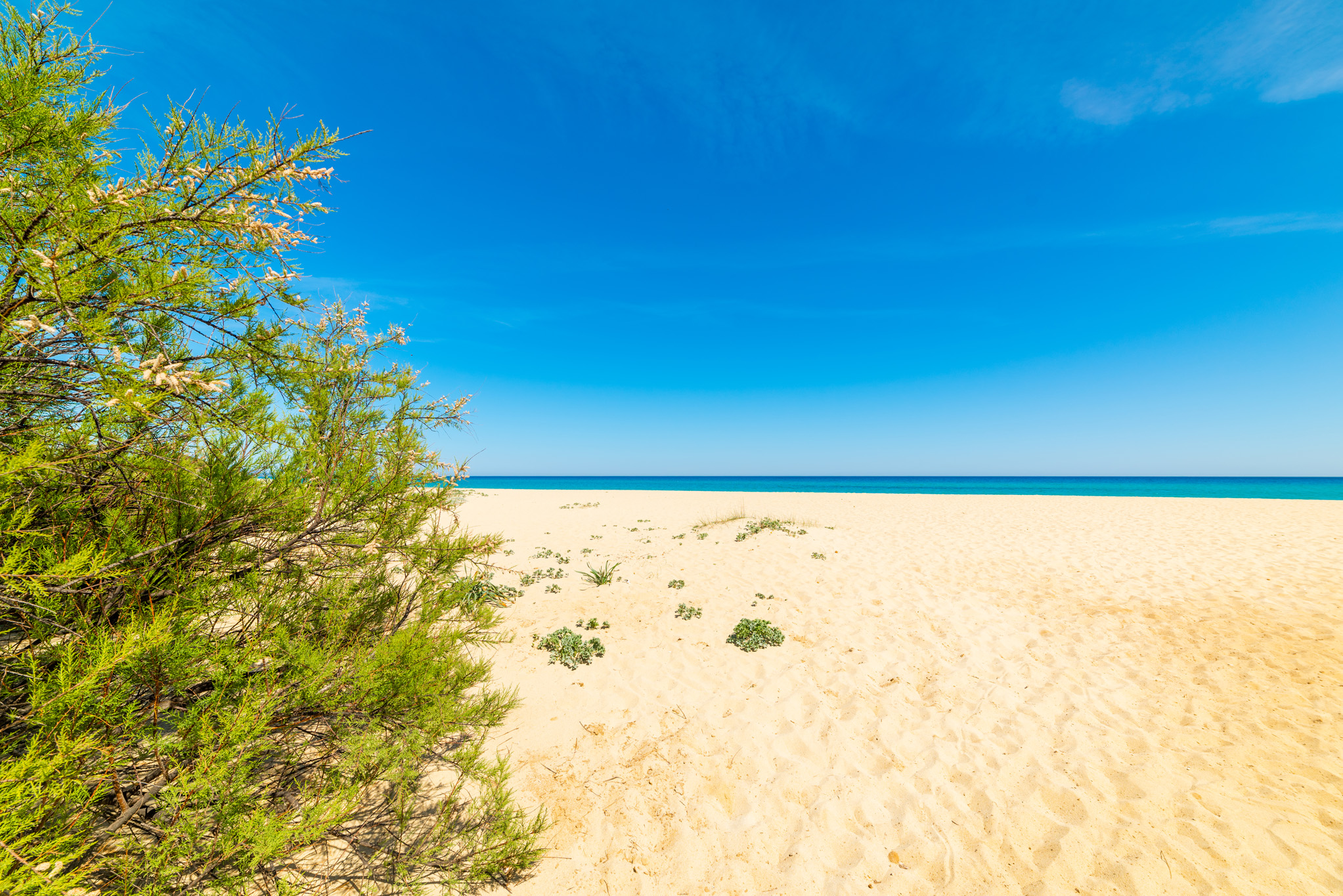 Spiaggia Tanca Manna
